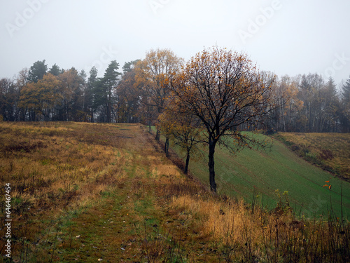 Jesienny listopadowy krajobraz jest wyjątkowo malowniczy i nostalgiczny