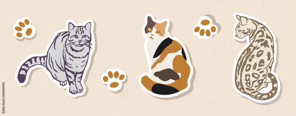 Cat ,stickers, cats, sticker ,set, fluffy cat, striped cat , animals, doodle, ginger cat, drawings