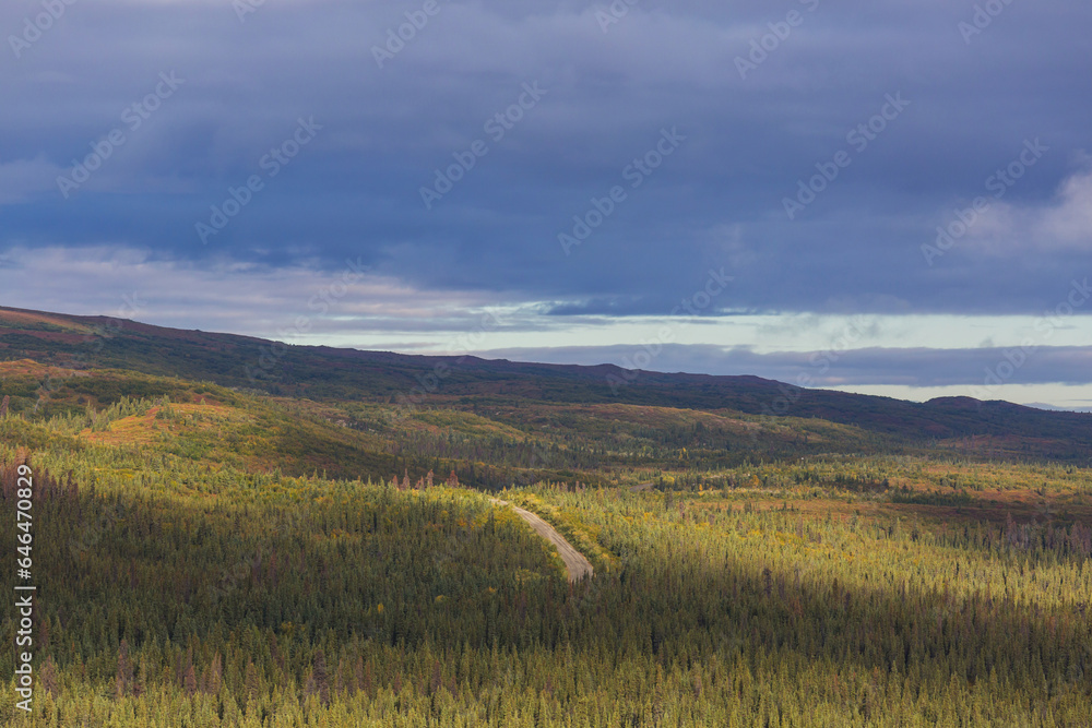Tundra in Canada Tundra in Canada