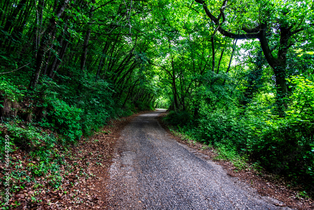Fototapeta premium 2023 06 04 SanZenodiMontagna country road