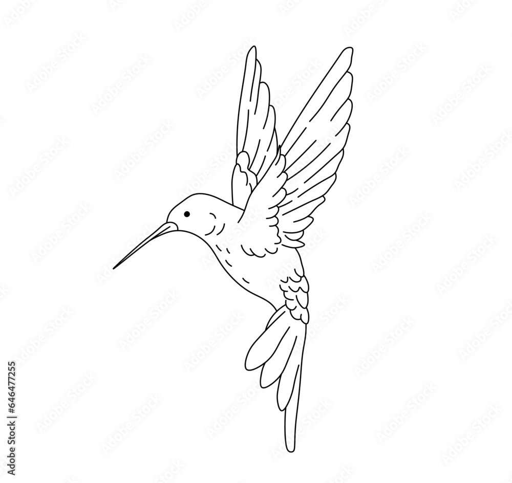 Vecteur Stock Vector isolated one single flying hummingbird side view