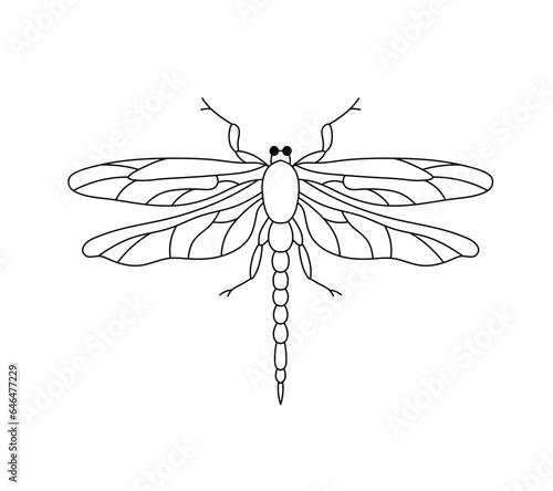 Vector isolated one single symmetrical dragonfly with four wings top view colorless black and white contour line easy drawing