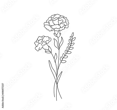 Vector isolated simple carnation bouquet boutonniere ywo carnations with twig colorless black and white contour line easy drawing photo