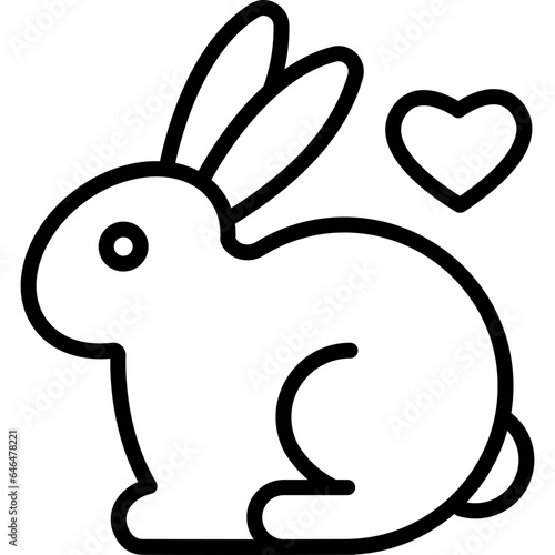 rabbit with heart