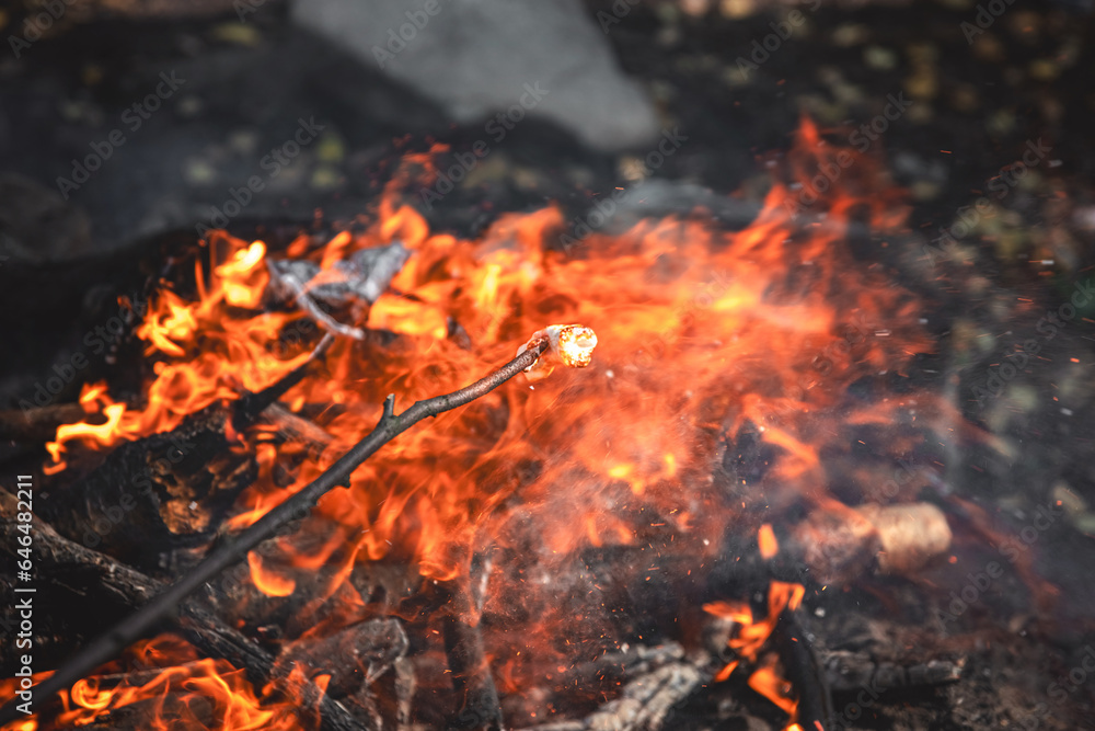 Marshmallows on a stick are held over a fire Marshmallows on a stick are held over a fire