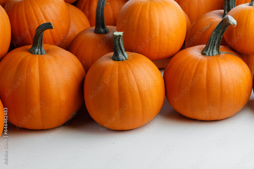Many orange pumpkins on white Many orange pumpkins on white
