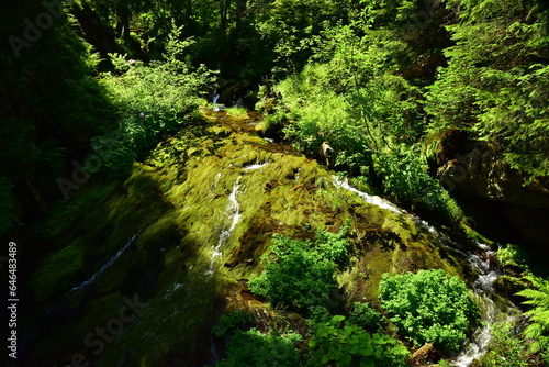 Bila Opava Waterfalls