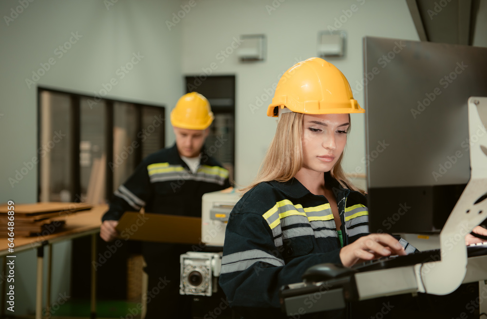 After the machinery was installed, both engineers inspected and tested it. After the machinery was installed, both engineers inspected and tested it.