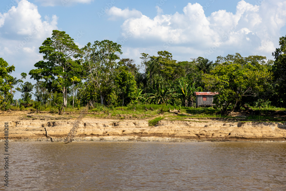 Shack between the Amazon river and the Amazon rainforest in Brazil, South America - viewed from aboard a ferry to Manaus
