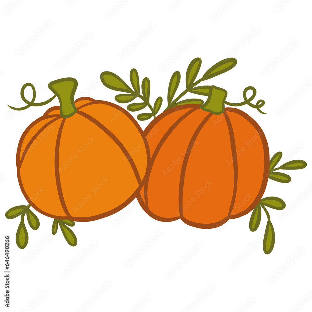 Pumpkin Drawing Pumpkin Drawing