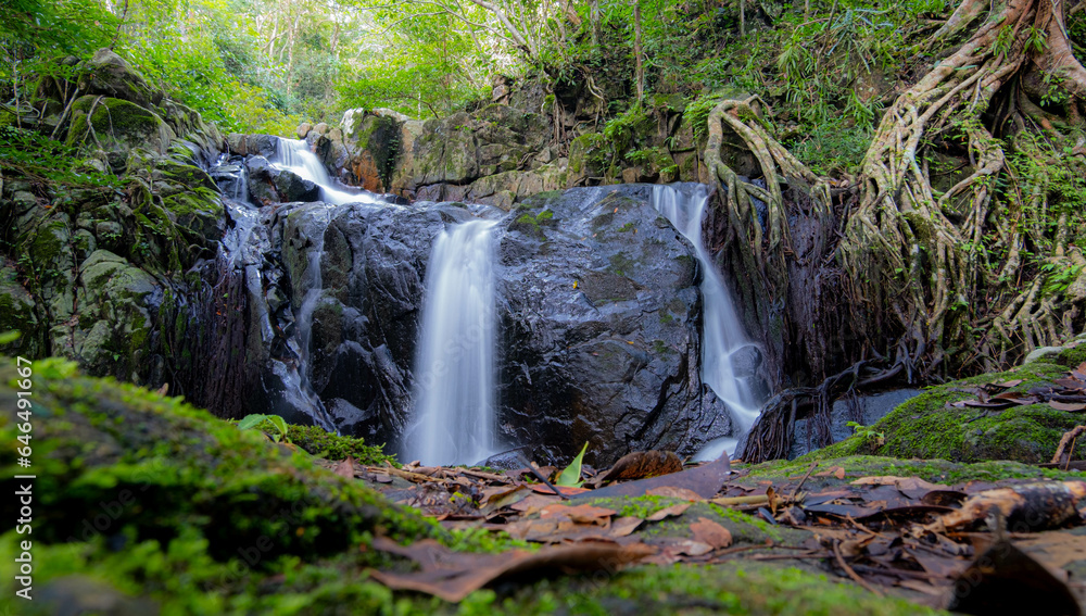 A small waterfall in the middle of a forest, on a mountain, in a fertile area. Bright green forest and clean water