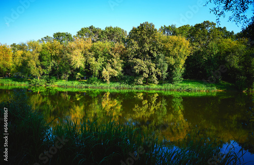 Reflections in forest pond landscape backdrop