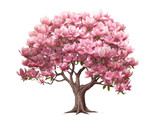 pink flowering magnolia tree , png file of isolated cutout object on transparent background.