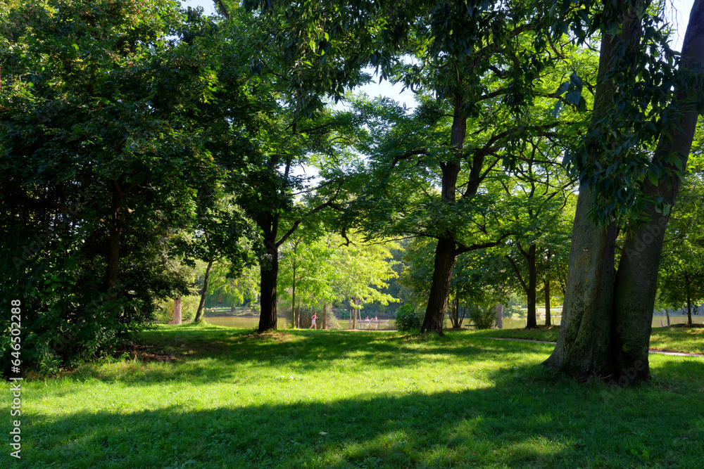 Daumesnil lake and Vincennes wood in the 12th arrondissement of Paris city Daumesnil lake and Vincennes wood in the 12th arrondissement of Paris city