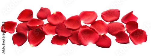 strip of scattered red rose petals, png file of isolated cutout object on transparent background.