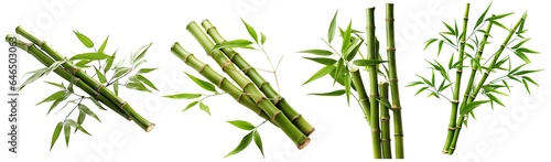 Set of bamboo, isolated on transparent background