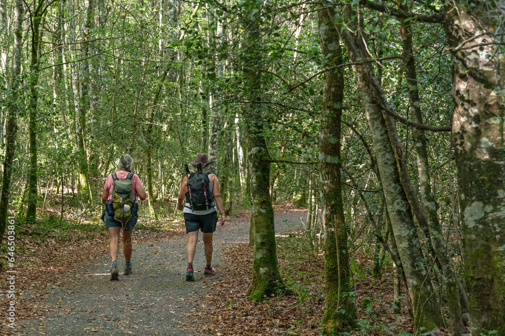 Adult women walking on the Way of St. James. Roncesvalles-Zubiri Stage Adult women walking on the Way of St. James. Roncesvalles-Zubiri Stage