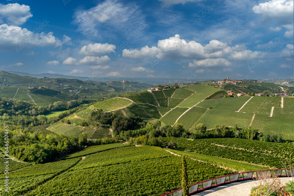 Langhe hills, Piedmont, Italy. Landscape of vineyards between the villages of Serralunga Alba and Costiglione Falletto, a typical Barolo wine area. Blue sky with white clouds