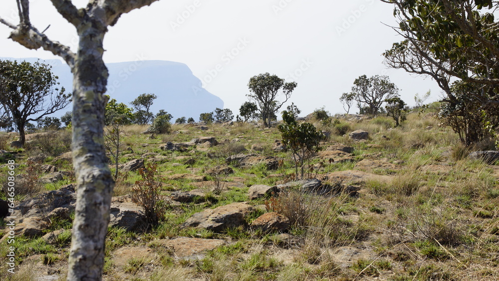 Landschaft Südafrika