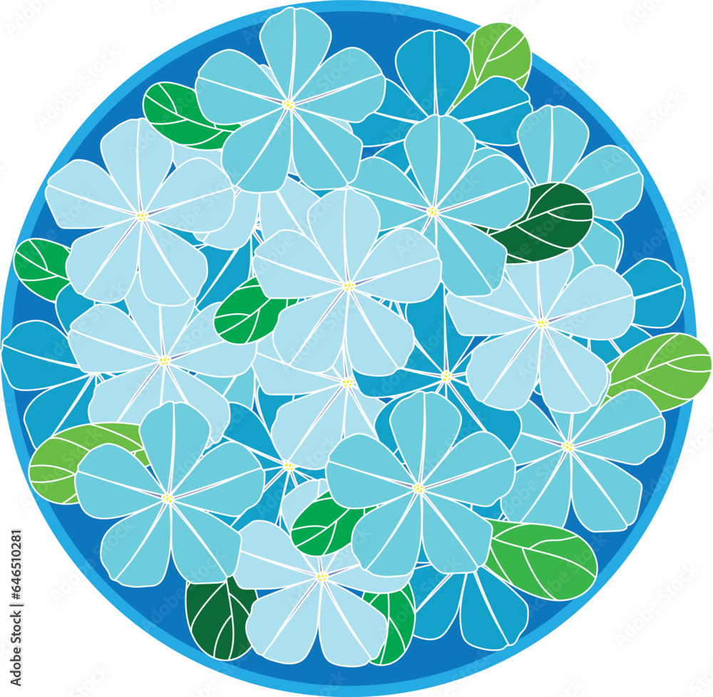 Obraz premium Illustration of Blue Cape leadwort flower on blue circle background.