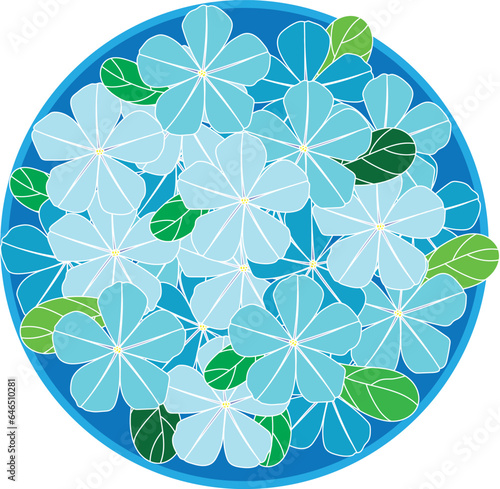 Illustration of Blue Cape leadwort flower on blue circle background.