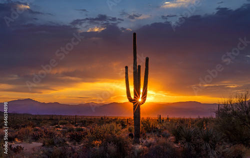 A Sunstar Forms Behind A Sagauro Cactus At Sunrise Time © Ray Redstone