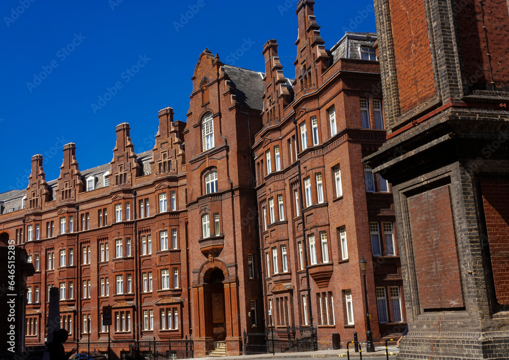 Obraz premium A row of beautiful brick buildings 