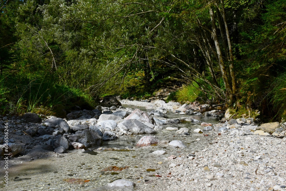 Creek flowing on limestone rocks and willow bushes on the bank Creek flowing on limestone rocks and willow bushes on the bank