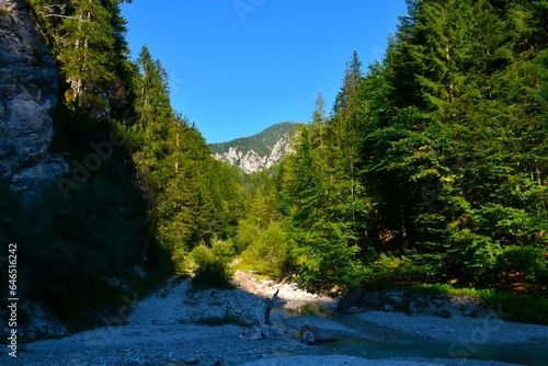 Forest covered valley with a creek bellow Dovska Baba in Karavanke mountains, Slovenia © kato08