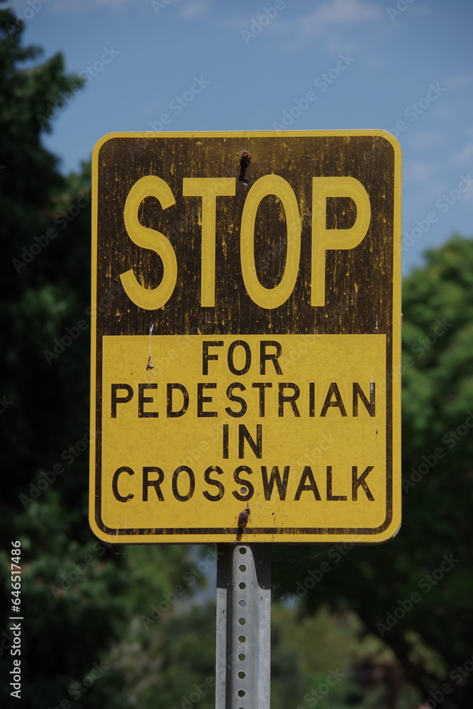 STOP FOR PEDESTRIANS IN CROSSWALK
