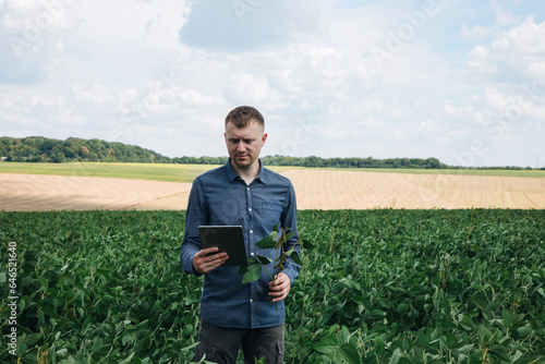 Farmer, agronomist in the soybean field. Controlling the growth of agricultural crops with digital tablet. Green soy with beans. Front view
