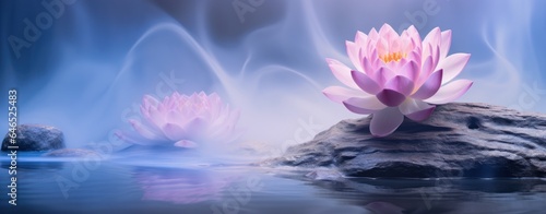 A pink flower floating on a rock