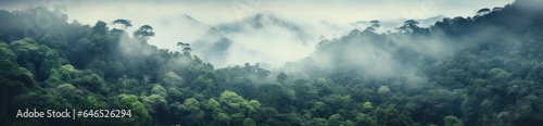 Jungle and mountains natural background