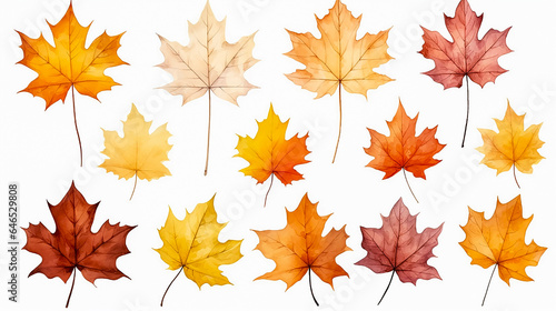 Collection of colorful autumn maple leafs on white background, drawing, for design. Set of maple leaves in pastel shades, illustration.