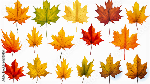 Collection of colorful autumn maple leafs on white background  drawing  for design. Color maple leafs set  illustration.
