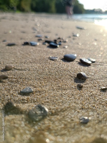 Wallpaper Mural pebbles on beach Torontodigital.ca