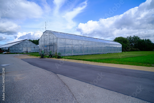 Large greenhouses for growing plants. ecological agriculture. family business. small business