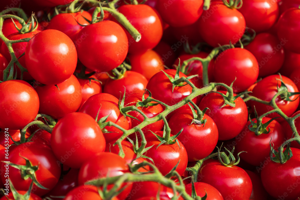 Red Cherry tomatoes in box for sale