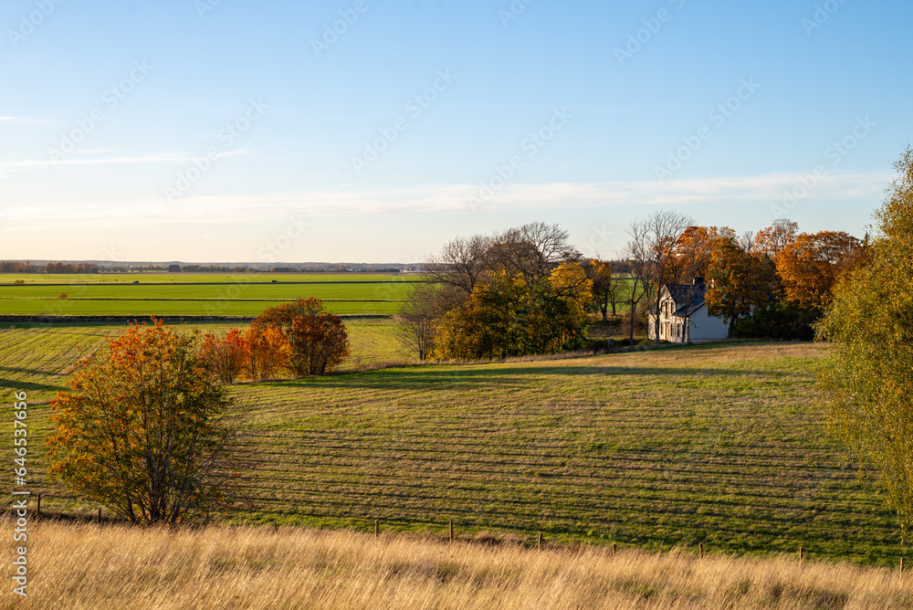 Fototapeta premium Autumn field during sunset in Sweden. Gamla Uppsala