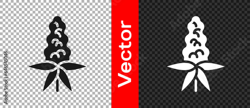 Black Lupine flower icon isolated on transparent background. Vector