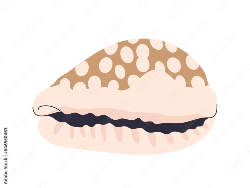 Sea shell concept. Natural sea and underwater object. Ocean and tropical and exotic countries. Poster or banner for website. Cartoon flat vector illustration isolated on white background Sea shell concept. Natural sea and underwater object. Ocean and tropical and exotic countries. Poster or banner for website. Cartoon flat vector illustration isolated on white background