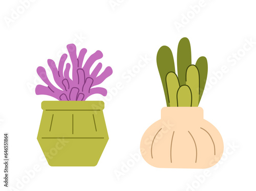 Succulents at flowerpots set. Cactus in beige and green flowerpots. Decor elements for apartment. Stickers for social networks. Cartoon flat vector collection isolated on white background