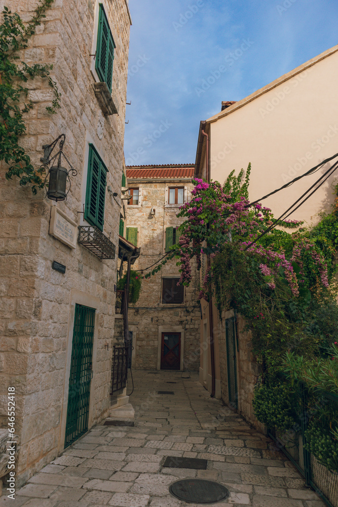 Charming alley with flowers in old town Split, Dalmatia, Croatia