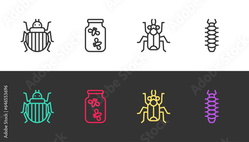 Set line Colorado beetle, Fireflies bugs in jar, Beetle and Centipede on black and white. Vector