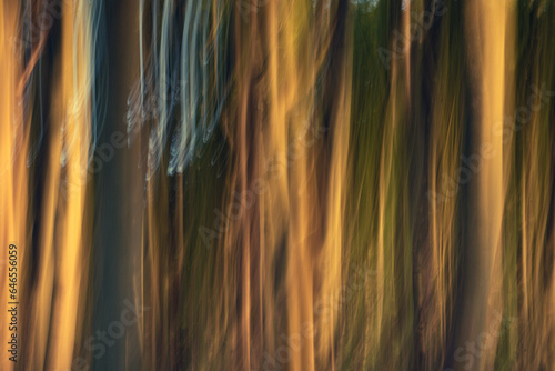 background with flowing lines