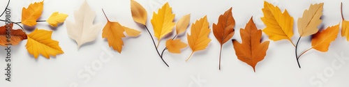 Autumn season minimal concept. Frame made of fallen yellow and orange leaves isolated on white background. Flat lay  top view. Banner with copy space