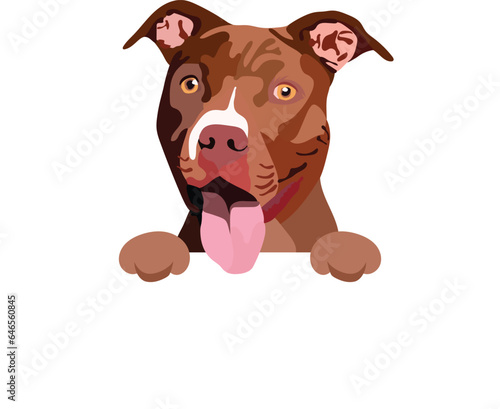 Pit Bull Terrier dog head with paws. Dog peeking out from the wall. Funny mascot with pittie Drawing. Cartoon style. Popular character. Sketch, canine graphic. Lovely smiling pooch, an isolated design