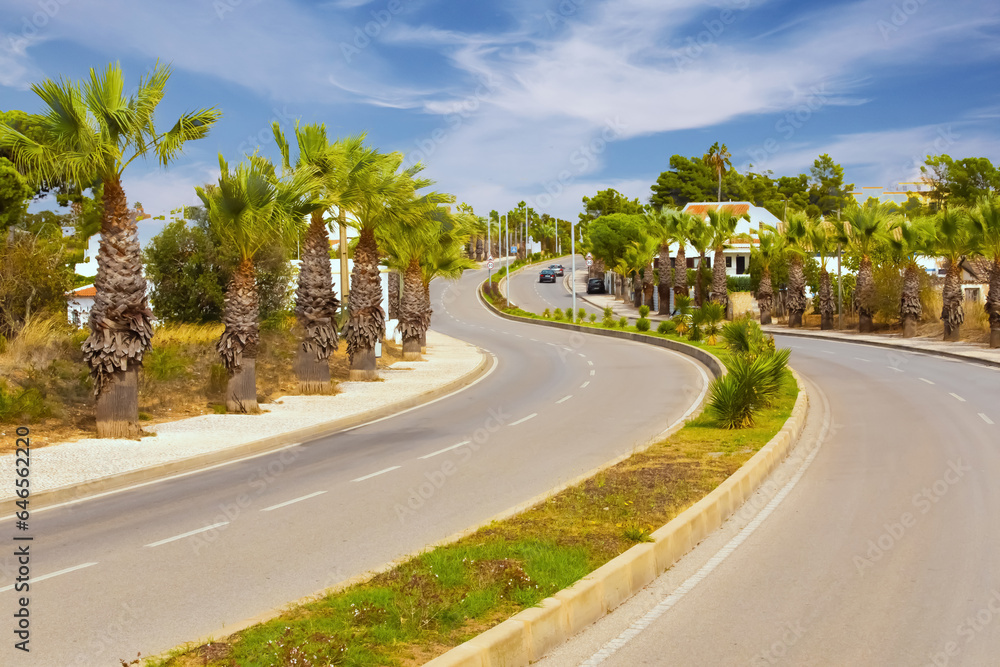 road to Portimao with palm trees at edges