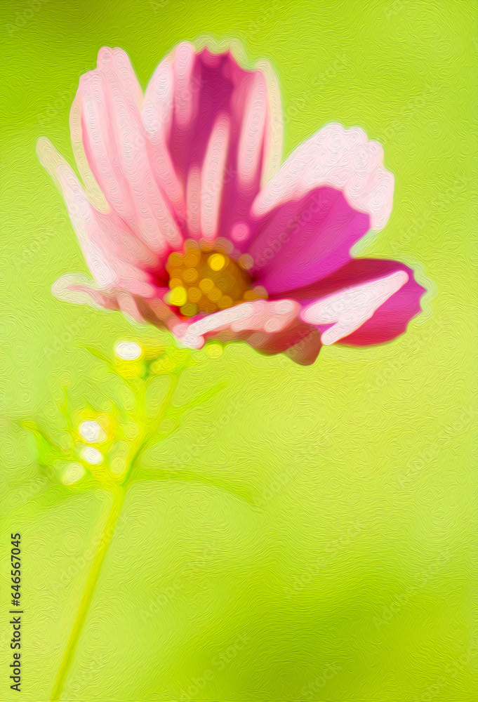 Pink Cosmo Flower Filtered Photo-Valentines, Anniversary, Be Mine, Easter, Summer, Background, Backdrop, Wallpaper, Landscaping, Gardening, Brunch, Garden Party, Birthday, Shower, Border, Invitation