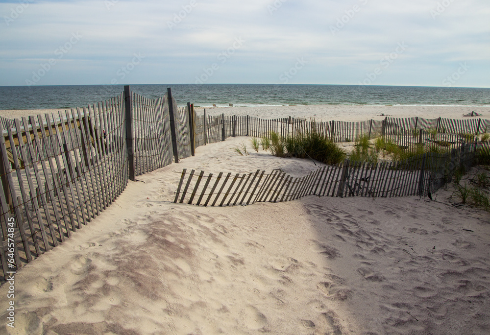 A wooden slated sand fence is partly buried in an ocean beach dune. There is sea grass growing inside the fence. An ocean and blue sky is in the background.